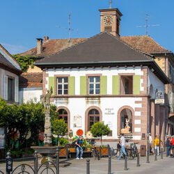 Elsass 2022