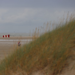 Schleswig-Holstein 2024