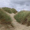 IMG 6300