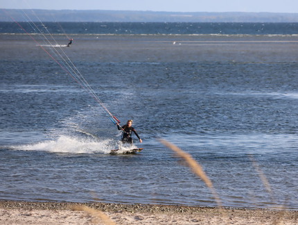 IMG 0256