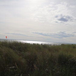 Schleswig-holstein 2021