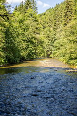 picture-0105