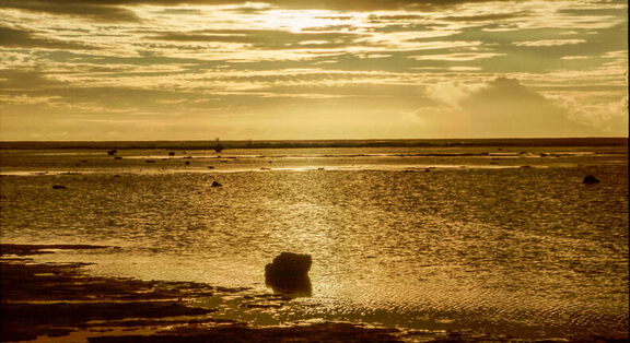 picture-0015
