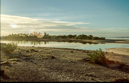 picture-0016
