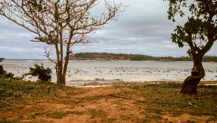 picture-0025