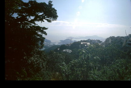 picture-0440