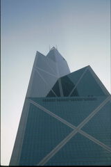 picture-0442