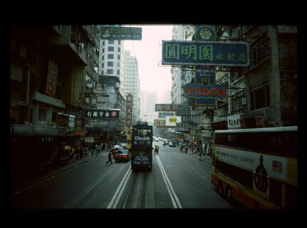 picture-0445