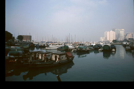 picture-0448