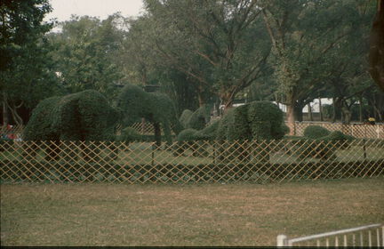 picture-0452
